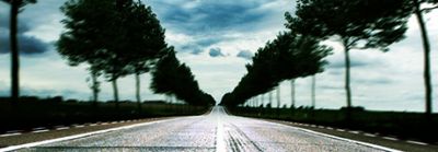 Atitude socioambiental na indústria gráfica: programa de segurança da Suzano Papel e Celulose reduz acidentes nas estradas