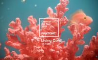 Living Coral é escolhida Cor do Ano 2019 da Pantone